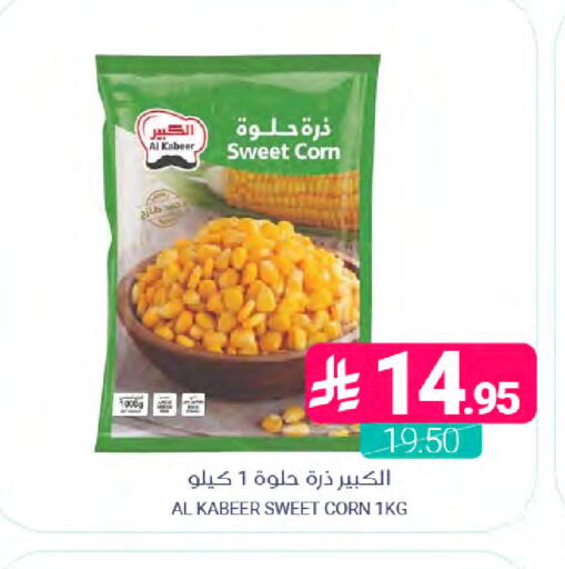 available at Muntazah Markets in KSA, Saudi Arabia, Saudi - Dammam