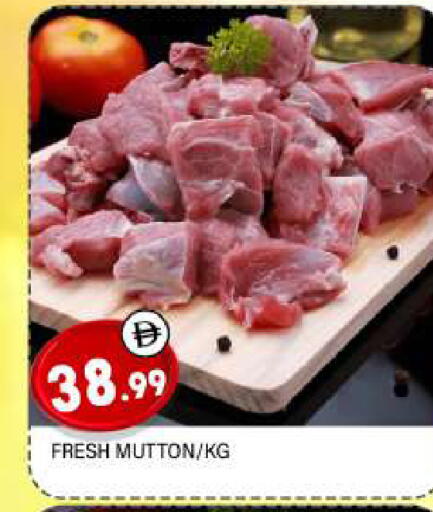 available at AL MADINA in UAE - Sharjah / Ajman