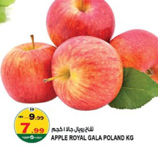 Apple from Poland available at هاشم هايبرماركت in الإمارات العربية المتحدة , الامارات - الشارقة / عجمان