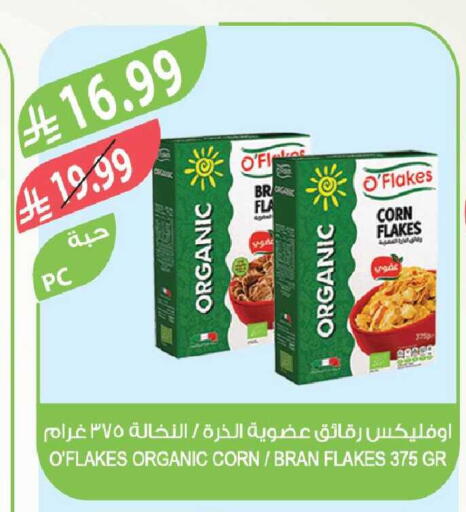 available at Farm  in KSA, Saudi Arabia, Saudi - Al-Kharj