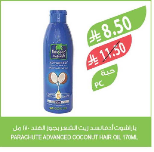 Coconut available at Farm  in KSA, Saudi Arabia, Saudi - Al-Kharj