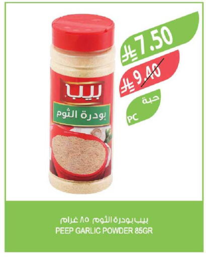 Garlic available at Farm  in KSA, Saudi Arabia, Saudi - Al-Kharj