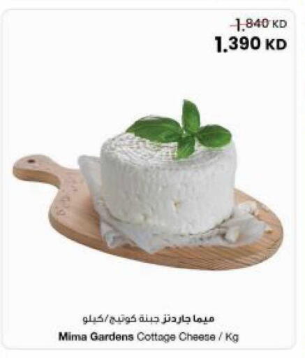 available at مركز سلطان in الكويت - مدينة الكويت