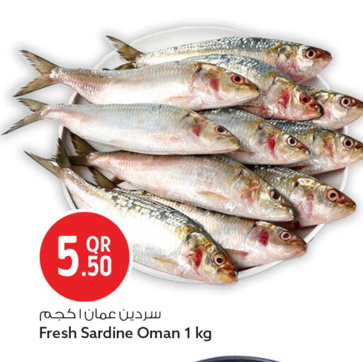 available at سفاري هايبر ماركت in قطر - الوكرة