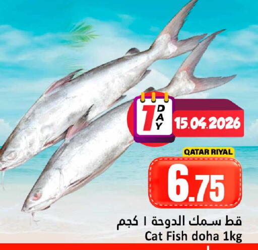 available at دانة هايبرماركت in قطر - الخور