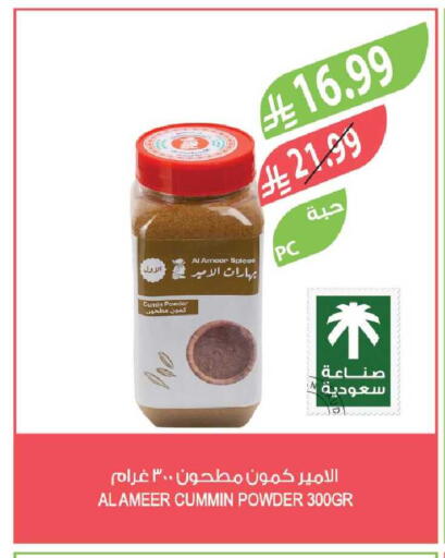 Cumin available at Farm  in KSA, Saudi Arabia, Saudi - Tabuk