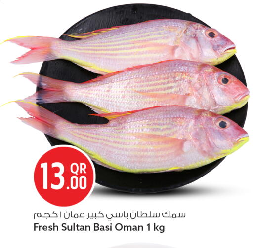 available at سفاري هايبر ماركت in قطر - الريان