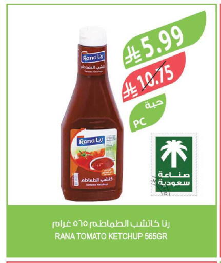 Tomato available at Farm  in KSA, Saudi Arabia, Saudi - Al-Kharj