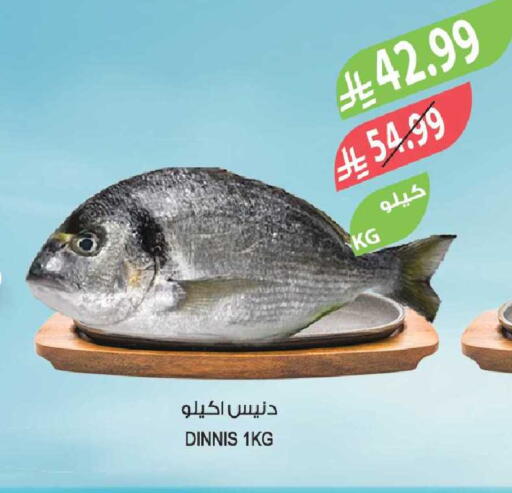 available at Farm  in KSA, Saudi Arabia, Saudi - Sakaka