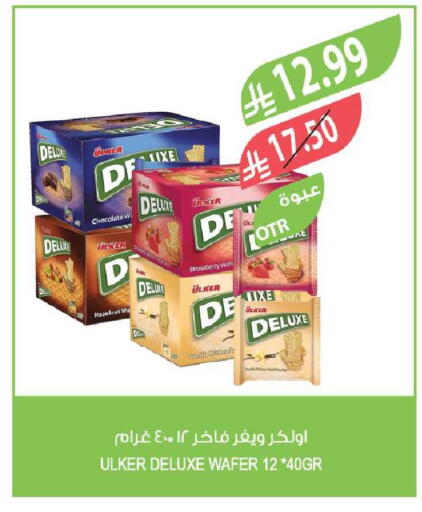 Strawberry available at المزرعة in مملكة العربية السعودية, السعودية, سعودية - الخرج