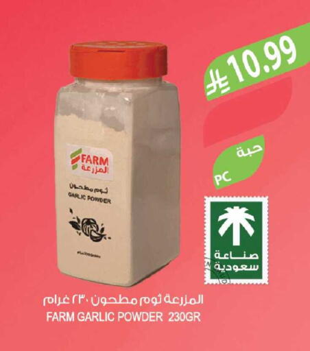 Garlic available at Farm  in KSA, Saudi Arabia, Saudi - Tabuk