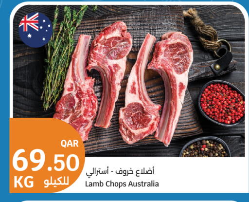 available at سيتي هايبرماركت in قطر - الضعاين