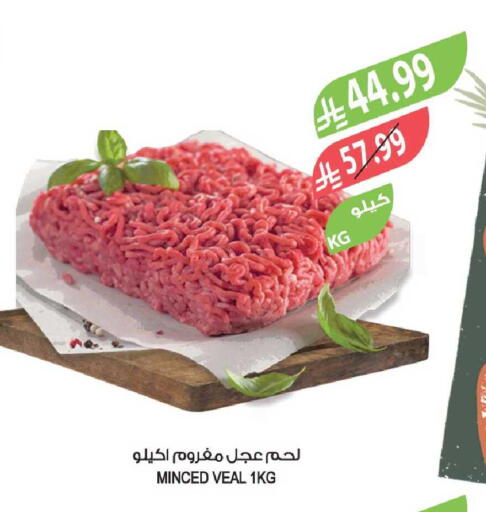 available at المزرعة in مملكة العربية السعودية, السعودية, سعودية - تبوك
