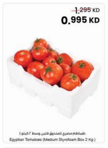 Tomato from Egypt available at The Sultan Center in Kuwait - Kuwait City
