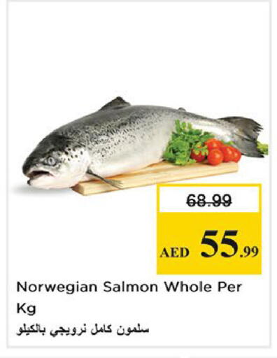 available at نستو هايبرماركت in الإمارات العربية المتحدة , الامارات - الشارقة / عجمان