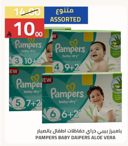 available at Astra Markets in KSA, Saudi Arabia, Saudi - Tabuk