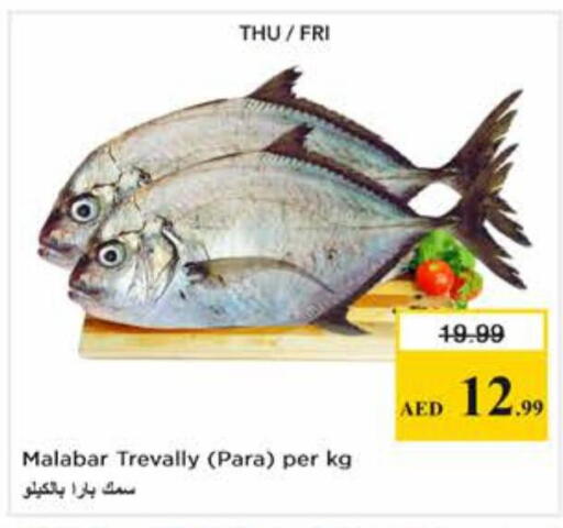 available at نستو هايبرماركت in الإمارات العربية المتحدة , الامارات - دبي