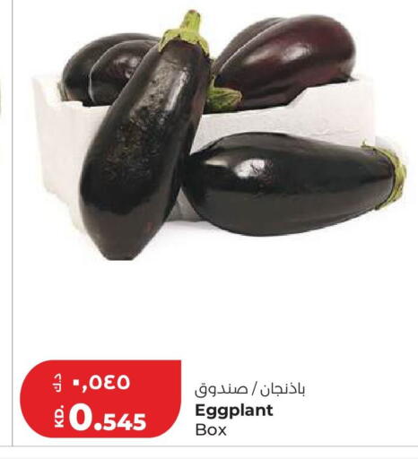 Eggplant available at Lulu Hypermarket  in Kuwait - Kuwait City
