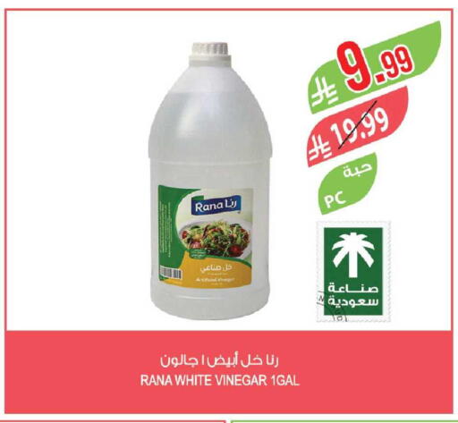 available at Farm  in KSA, Saudi Arabia, Saudi - Al-Kharj