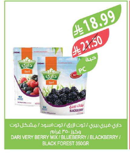 Blackberry Blueberry BlueBerry available at Farm  in KSA, Saudi Arabia, Saudi - Al Khobar
