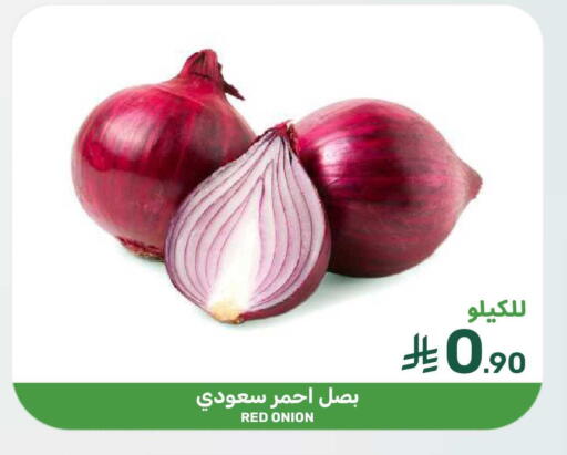 Onion available at Mazaya in KSA, Saudi Arabia, Saudi - Dammam