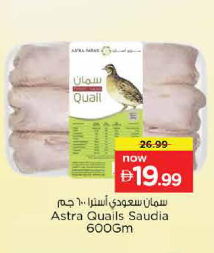 available at نستو هايبرماركت in الإمارات العربية المتحدة , الامارات - الشارقة / عجمان