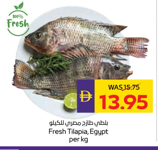 available at أدكووب in الإمارات العربية المتحدة , الامارات - أبو ظبي