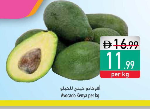 Avocado from Kenya available at السفير ماركت in الإمارات العربية المتحدة , الامارات - ٱلْفُجَيْرَة‎