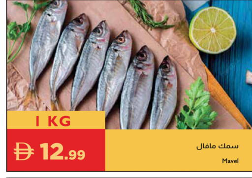 available at Istanbul Supermarket in UAE - Ras al Khaimah
