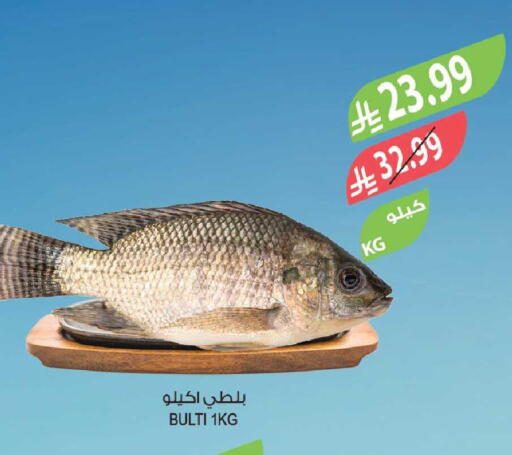 available at Farm  in KSA, Saudi Arabia, Saudi - Sakaka