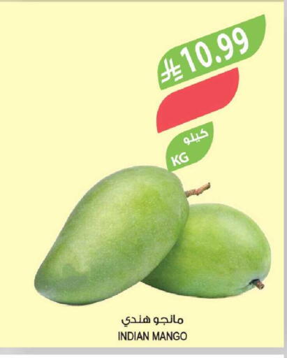 Mango from India available at المزرعة in مملكة العربية السعودية, السعودية, سعودية - الخبر‎