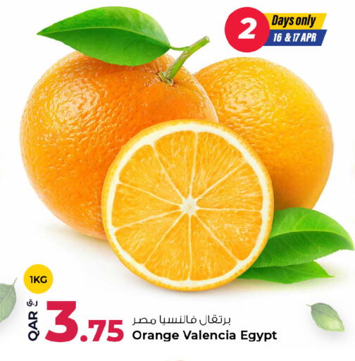 Orange from Egypt available at Rawabi Hypermarket in Qatar - Al Rayyan