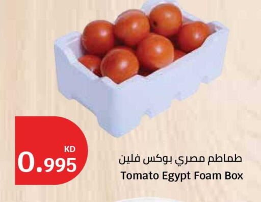Tomato from Egypt available at City Hypermarket in Kuwait - Kuwait City
