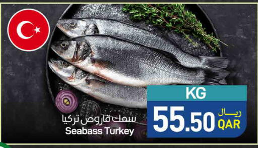 available at ســبــار in قطر - أم صلال