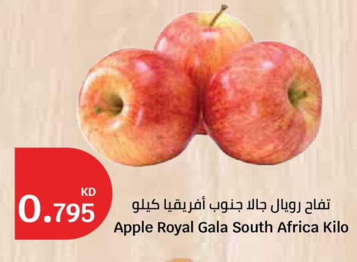 Apple from South Africa available at سيتي هايبرماركت in الكويت - مدينة الكويت