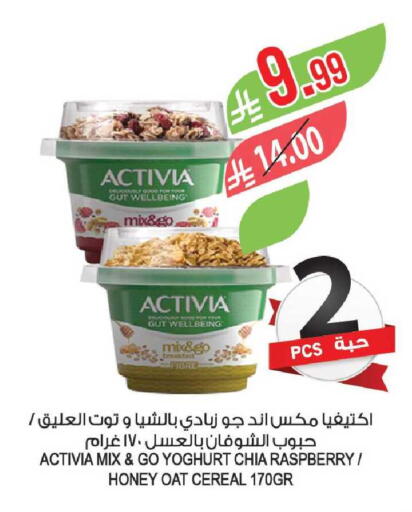 Raspberry available at Farm  in KSA, Saudi Arabia, Saudi - Tabuk