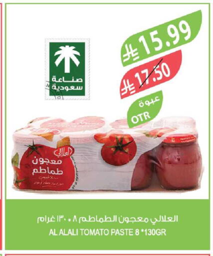 Tomato available at Farm  in KSA, Saudi Arabia, Saudi - Tabuk