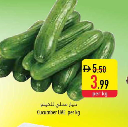 Cucumber available at السفير ماركت in الإمارات العربية المتحدة , الامارات - ٱلْفُجَيْرَة‎