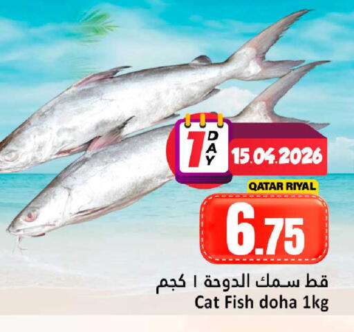 available at دانة هايبرماركت in قطر - الخور