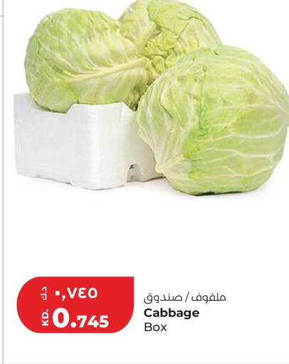 Cabbage available at Lulu Hypermarket  in Kuwait - Kuwait City