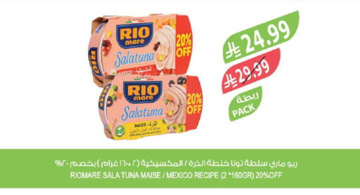 Peas available at Farm  in KSA, Saudi Arabia, Saudi - Al-Kharj