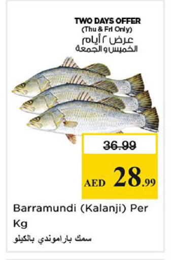 available at نستو هايبرماركت in الإمارات العربية المتحدة , الامارات - الشارقة / عجمان