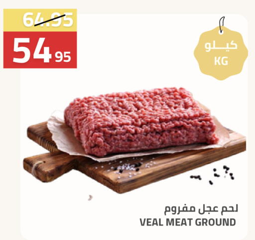 available at أسواق أسترا in مملكة العربية السعودية, السعودية, سعودية - تبوك