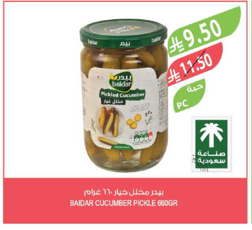 Cucumber available at المزرعة in مملكة العربية السعودية, السعودية, سعودية - الخبر‎