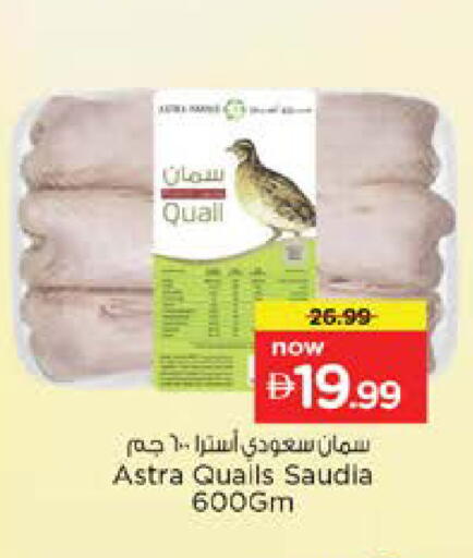 available at نستو هايبرماركت in الإمارات العربية المتحدة , الامارات - دبي