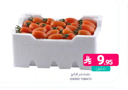 Cherry Cherry tomato available at Muntazah Markets in KSA, Saudi Arabia, Saudi - Dammam