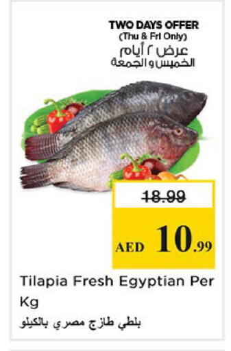 available at نستو هايبرماركت in الإمارات العربية المتحدة , الامارات - الشارقة / عجمان