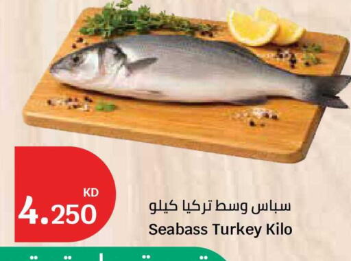 available at City Hypermarket in Kuwait - Kuwait City
