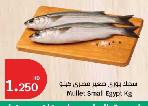available at City Hypermarket in Kuwait - Kuwait City