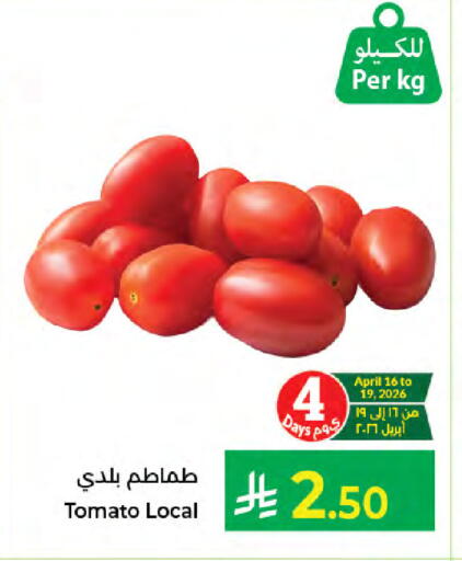 Tomato available at Kabayan Hypermarket in KSA, Saudi Arabia, Saudi - Jeddah